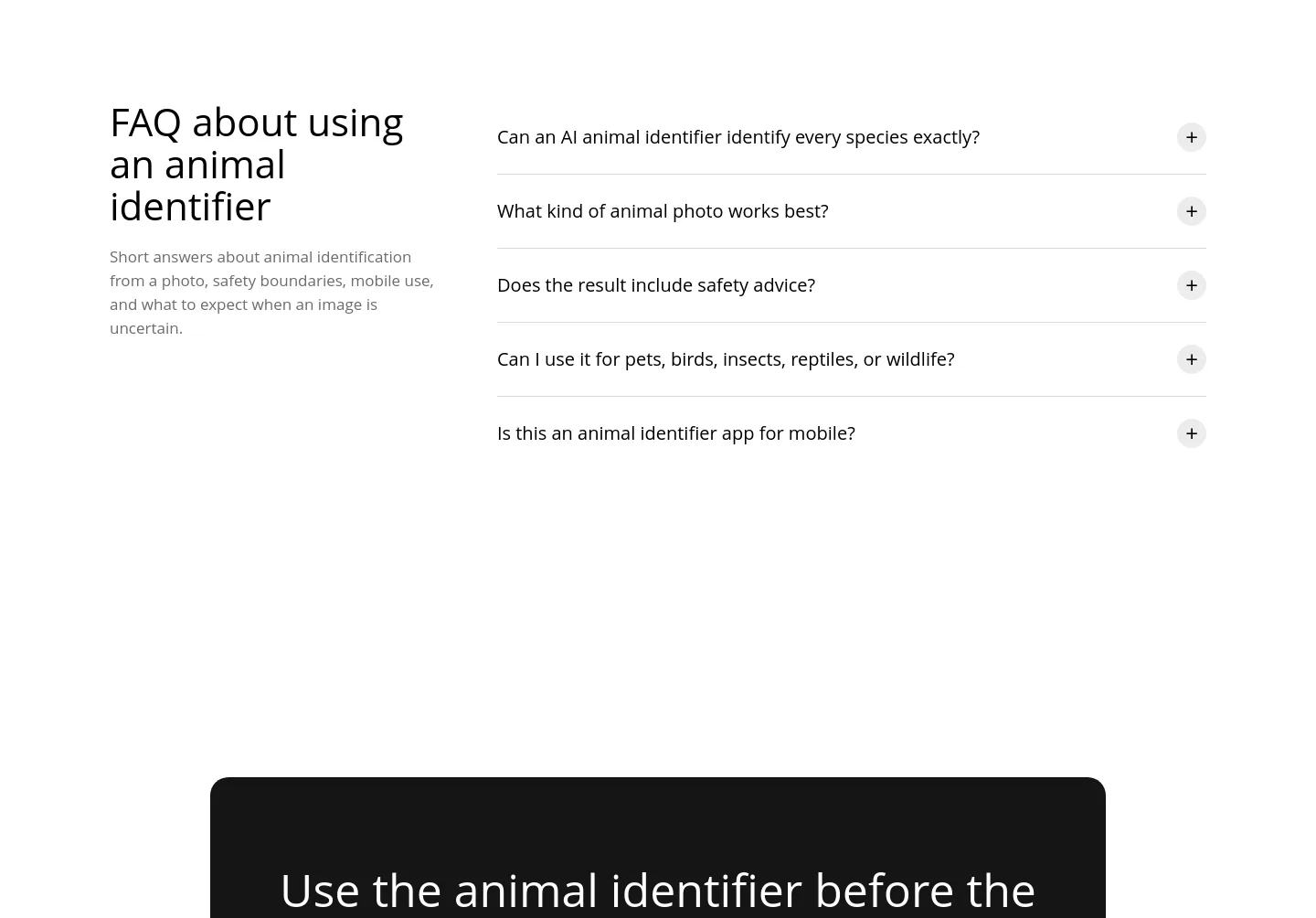 aianimalidentifier.com — FAQ