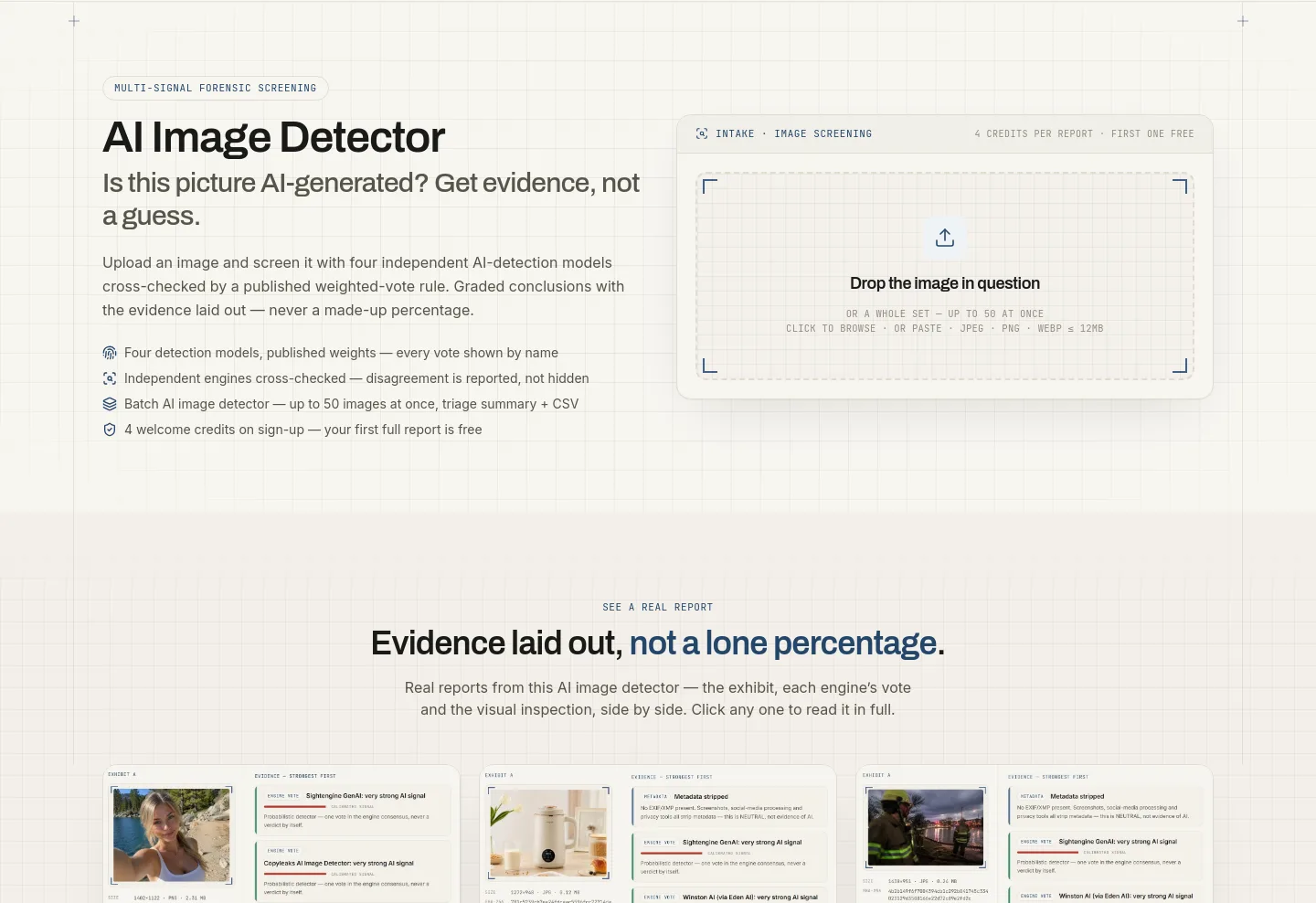 aiimagedetector.info Hero section