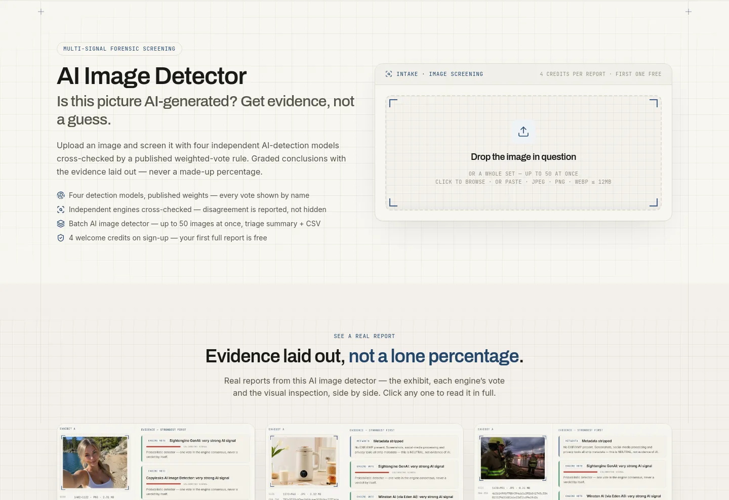 aiimagedetector.info — Hero