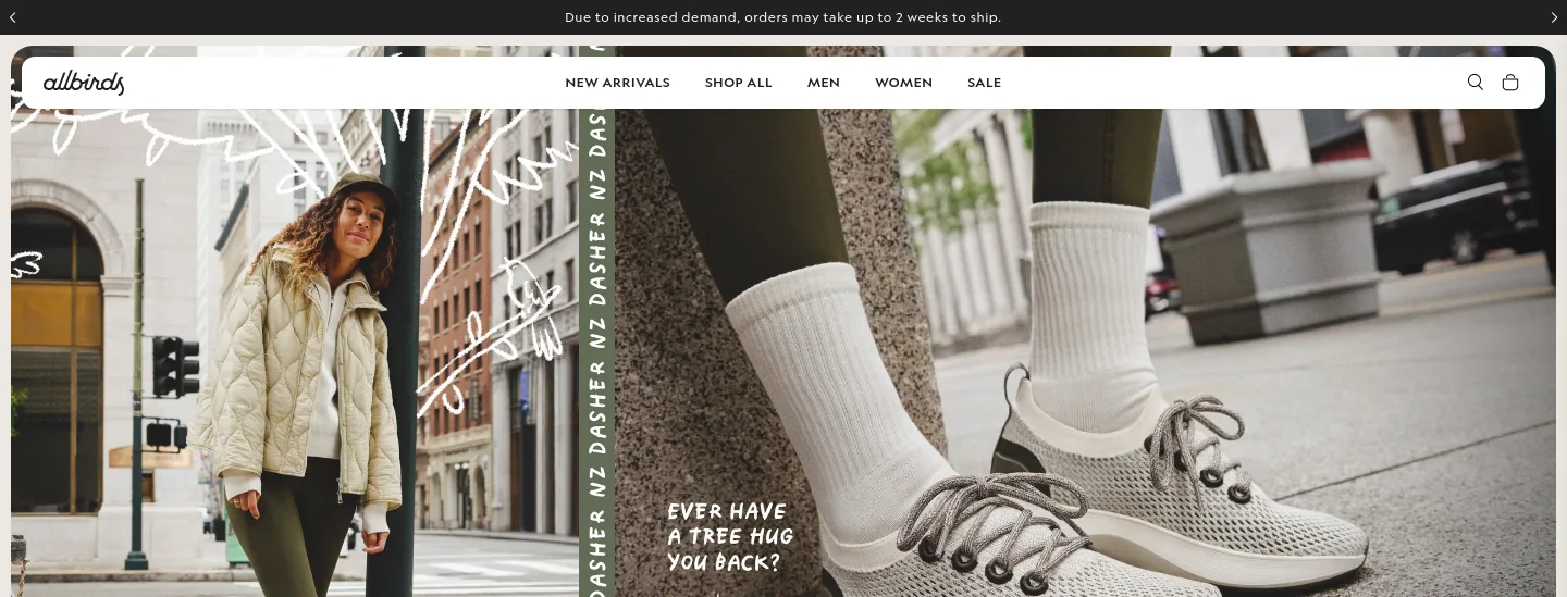 allbirds.com — a measured funnel