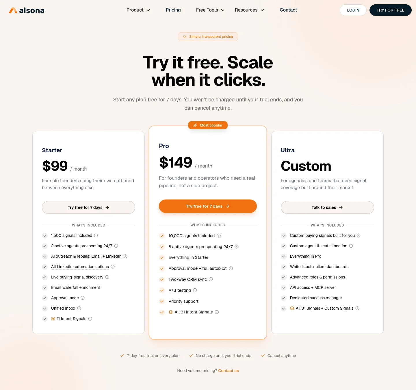 alsona.com Hero section