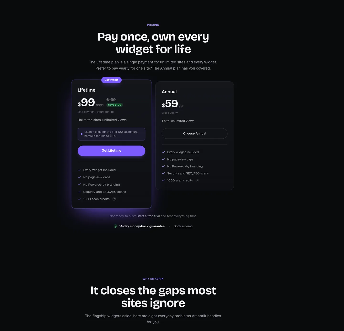 amabrik.com — a real Pricing section