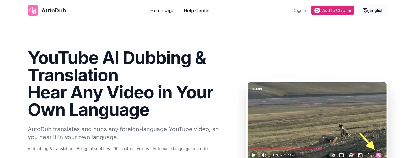 autodub.net — a measured funnel
