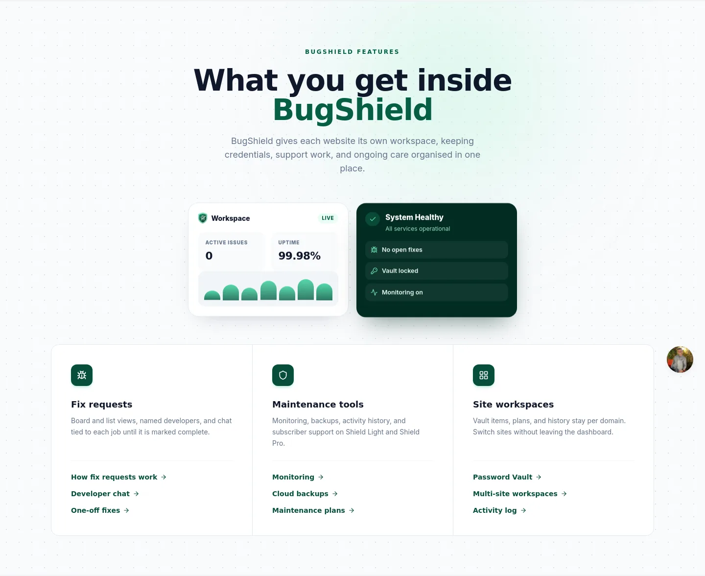 bugshield.co.uk Hero section