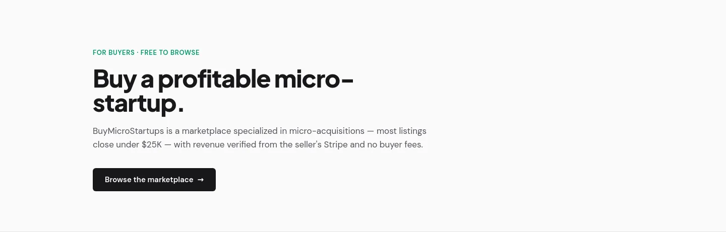 buymicrostartups.com Hero section