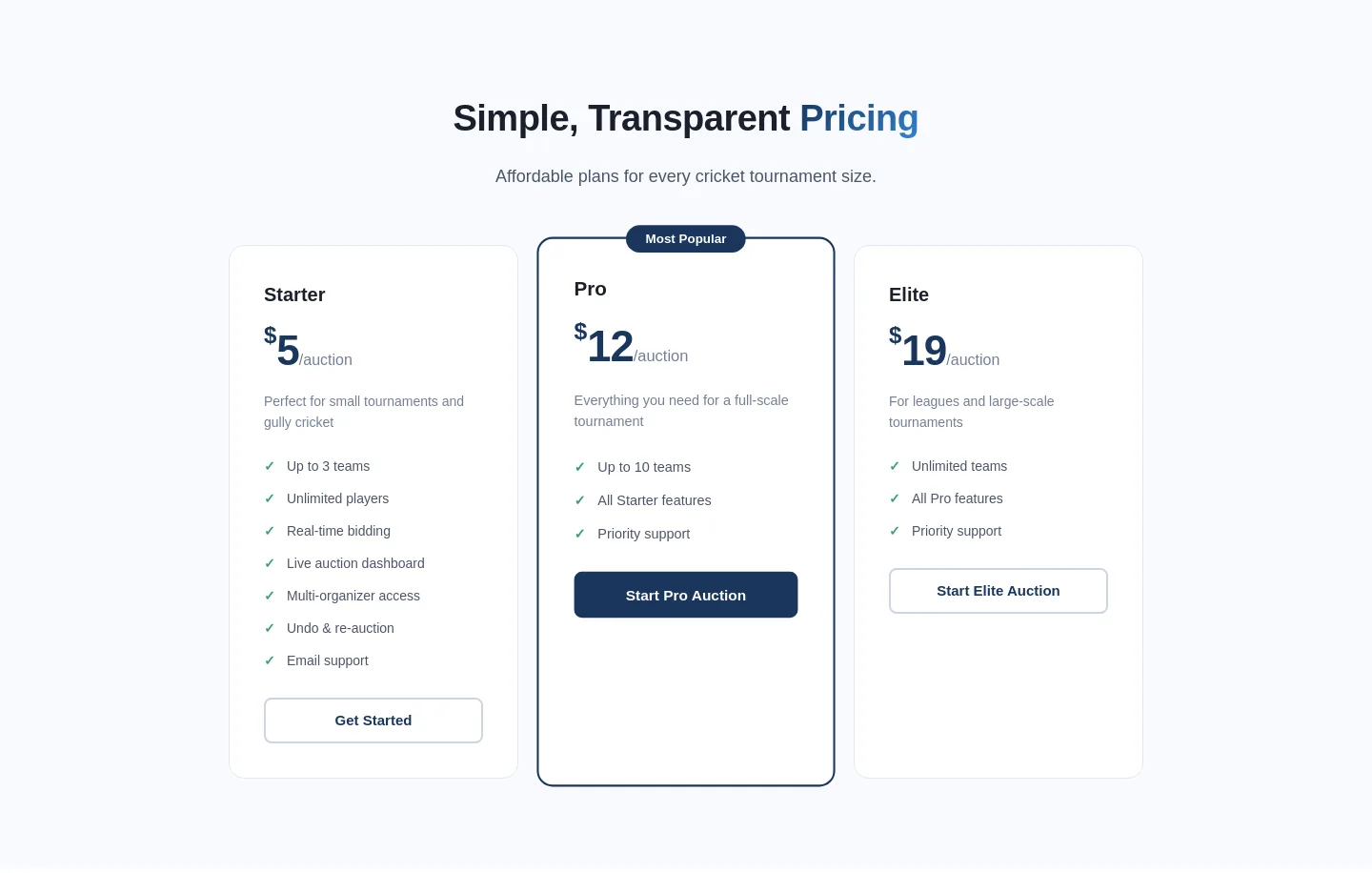 cric.auction Pricing section