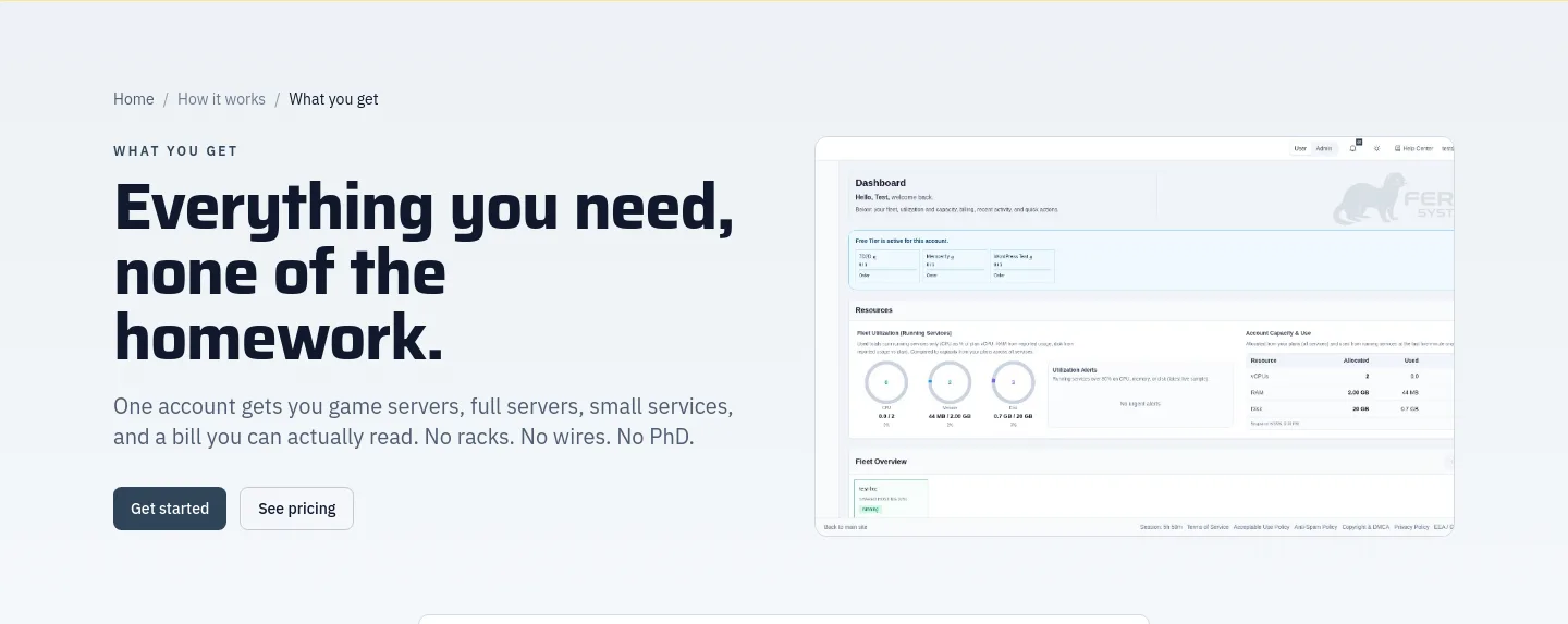 ferrix.systems Hero section