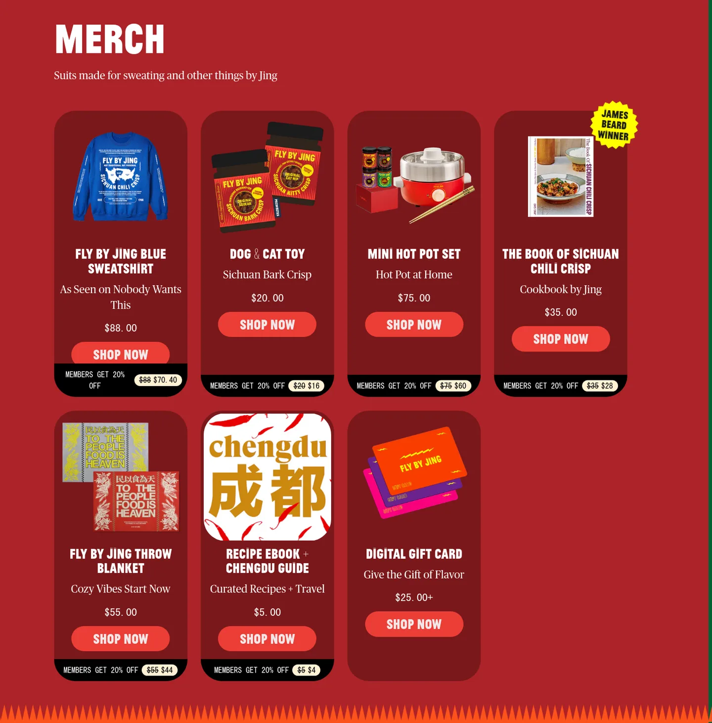 flybyjing.com Logo Wall section