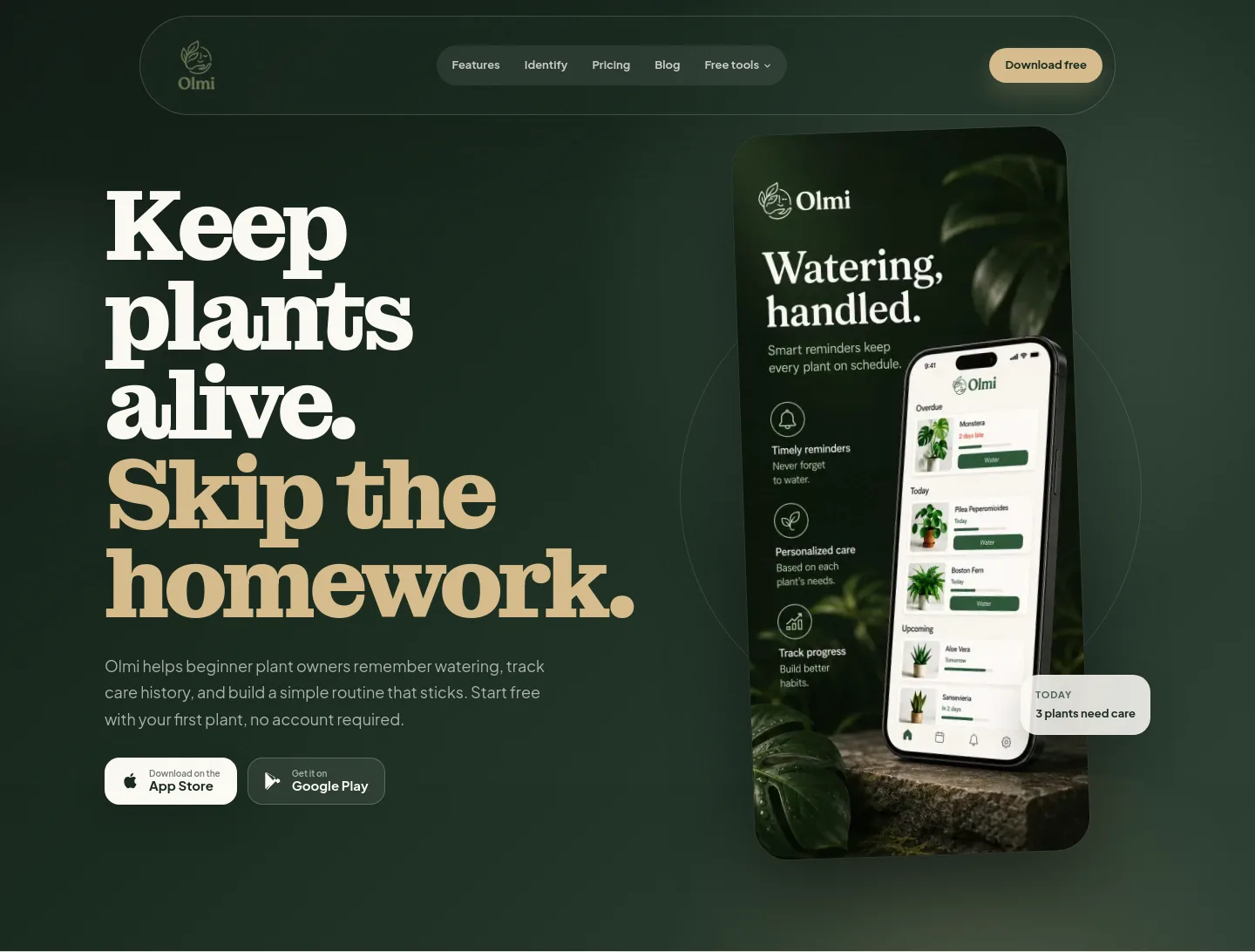 getolmi.com — Hero