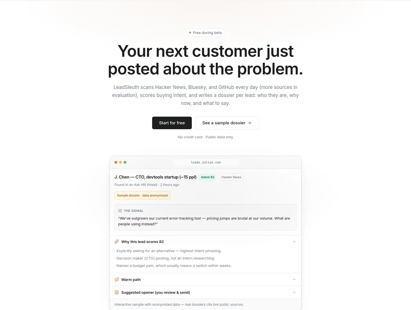 leads.zalize.com — Hero