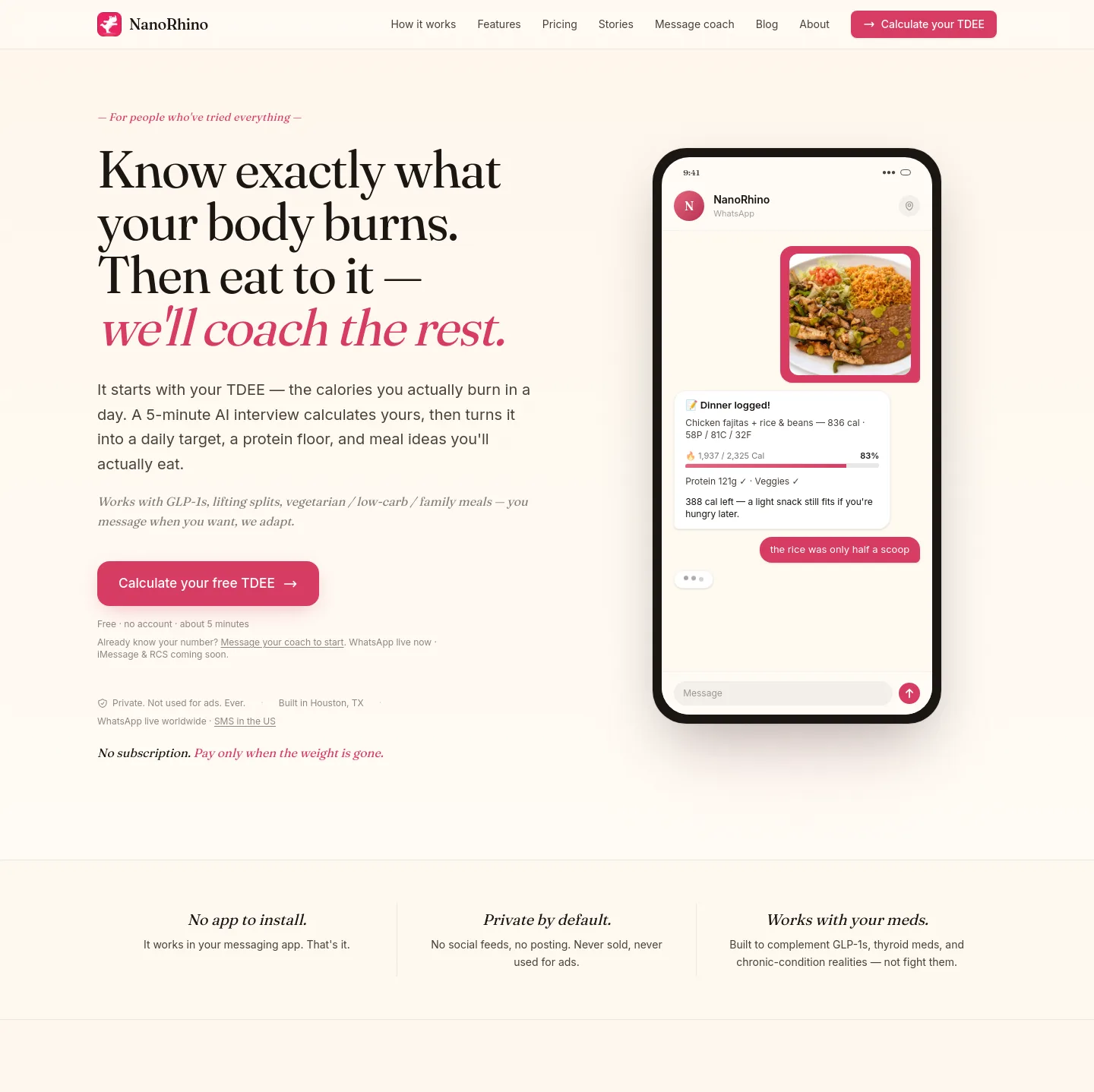 nanorhino.com — Hero