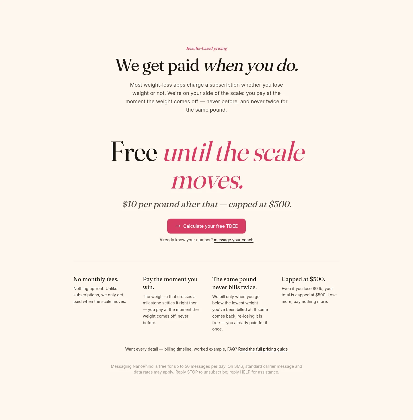 nanorhino.com — Pricing