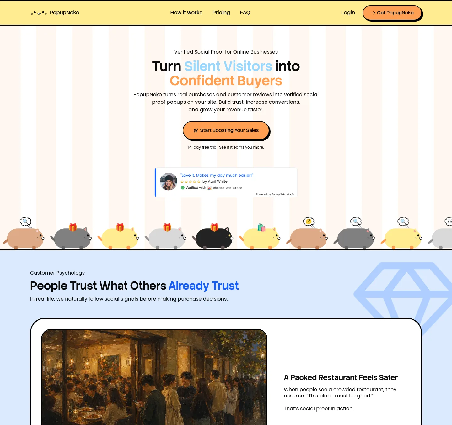 popupneko.com — a measured funnel