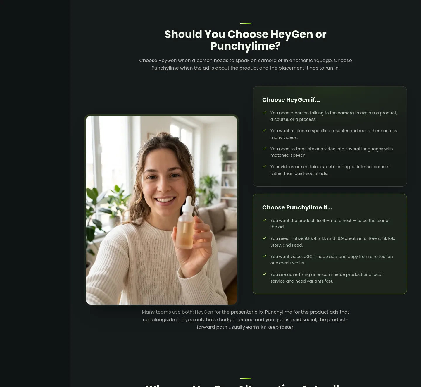 punchylime.com — Features