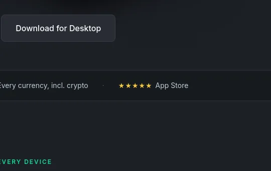 Rating element from tinycashflow.com