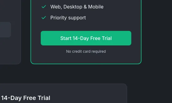 No credit card element from tinycashflow.com