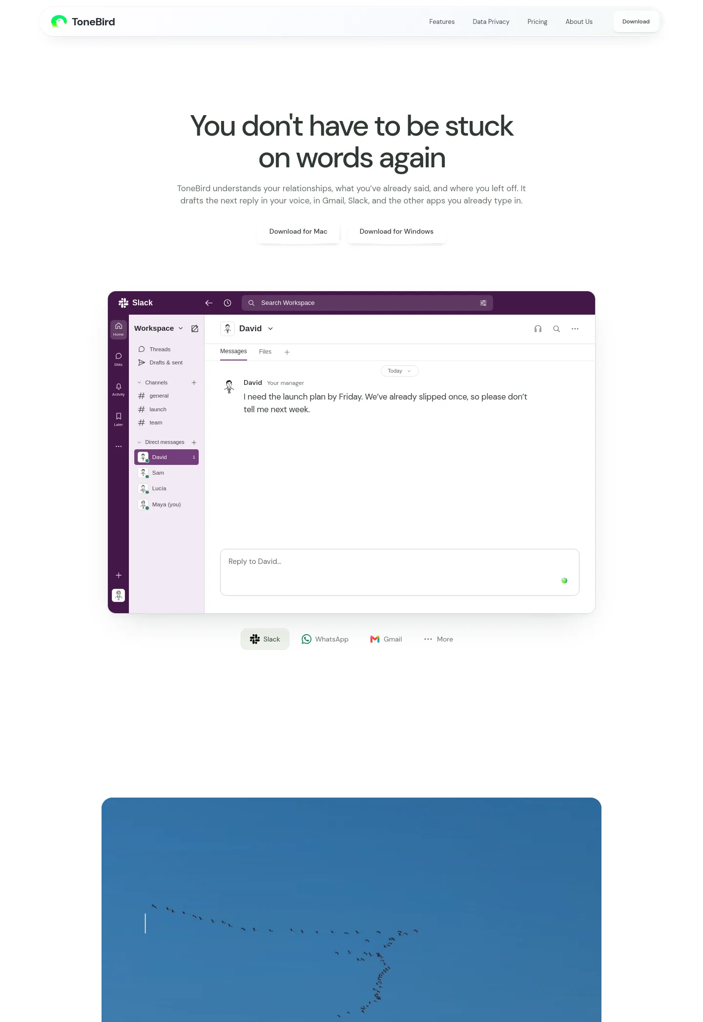 tonebird.ai — The Pricing Page