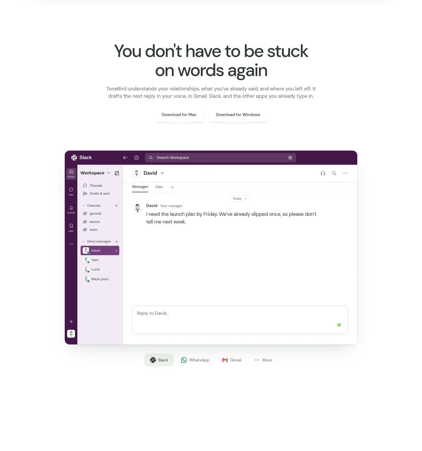 tonebird.ai — Hero