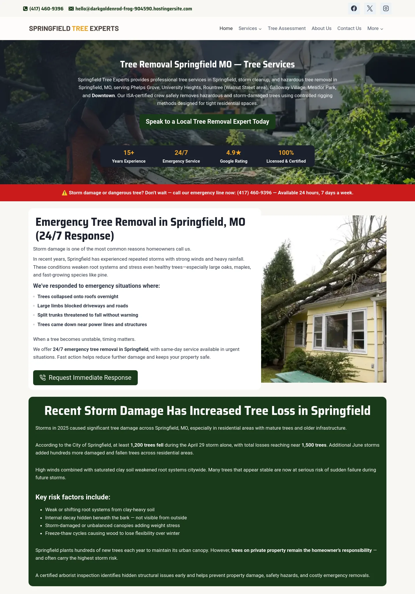 treeremovalinspringfield.com — a measured funnel