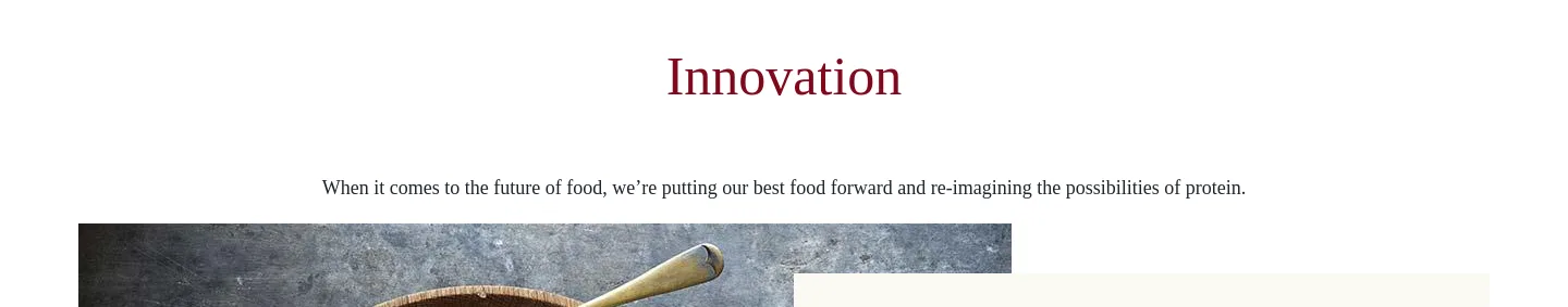 tysonfoods.com Hero section