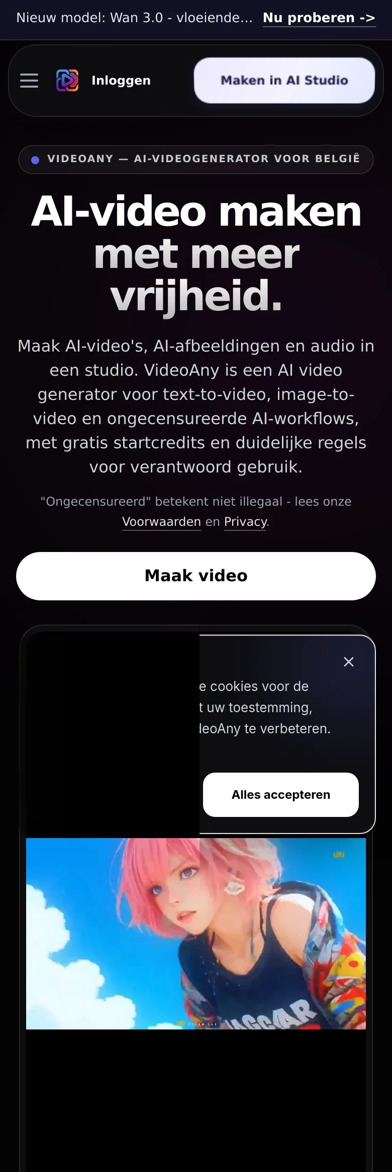 videoany.be — a measured funnel
