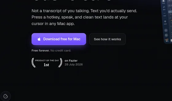 No credit card element from whisperly.io