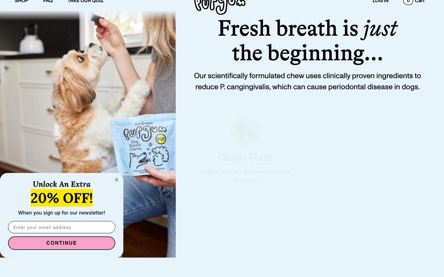 Above-the-fold capture of pupgum.com