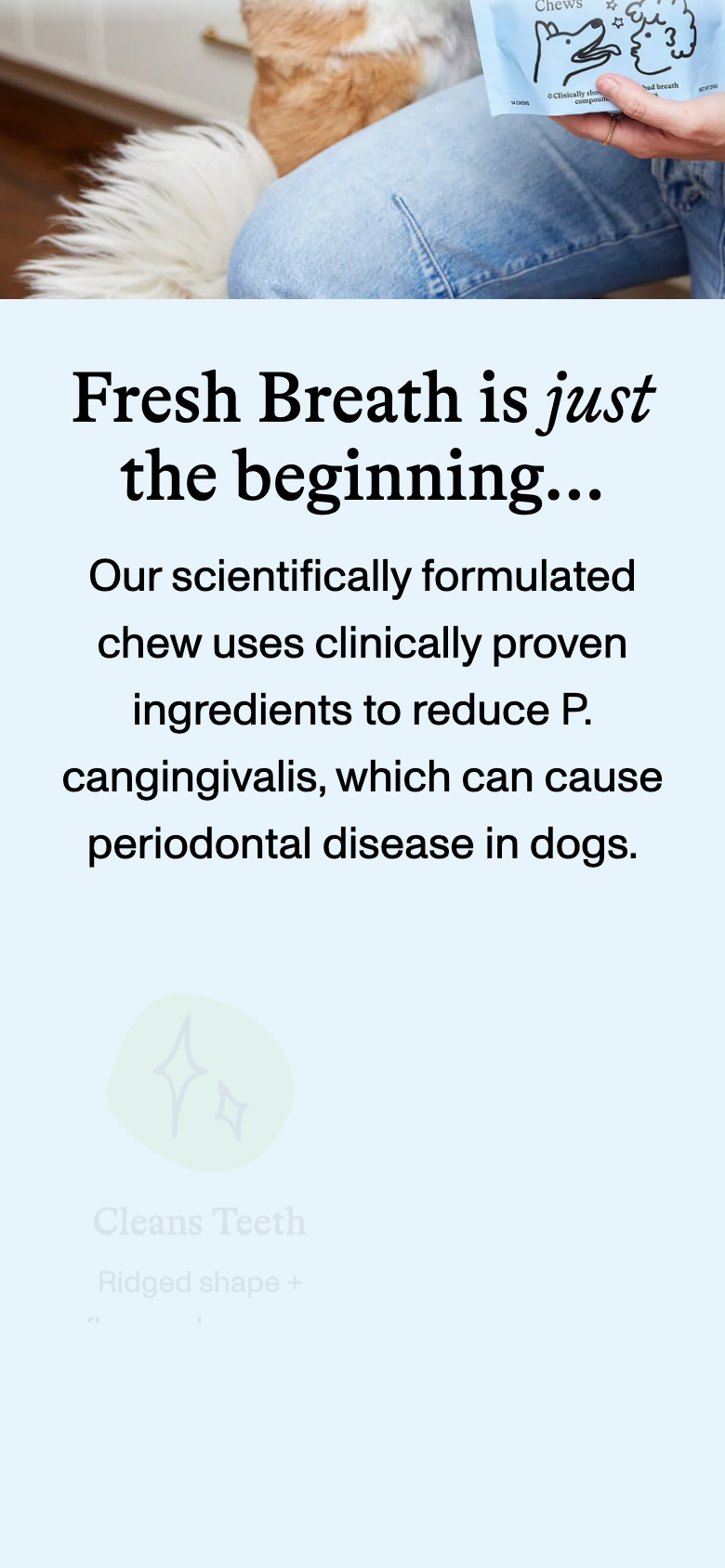 Product page (Medium Dogs)