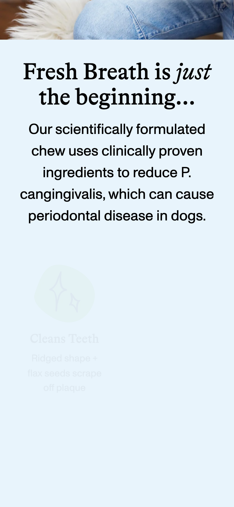 Product page (Medium Dogs)
